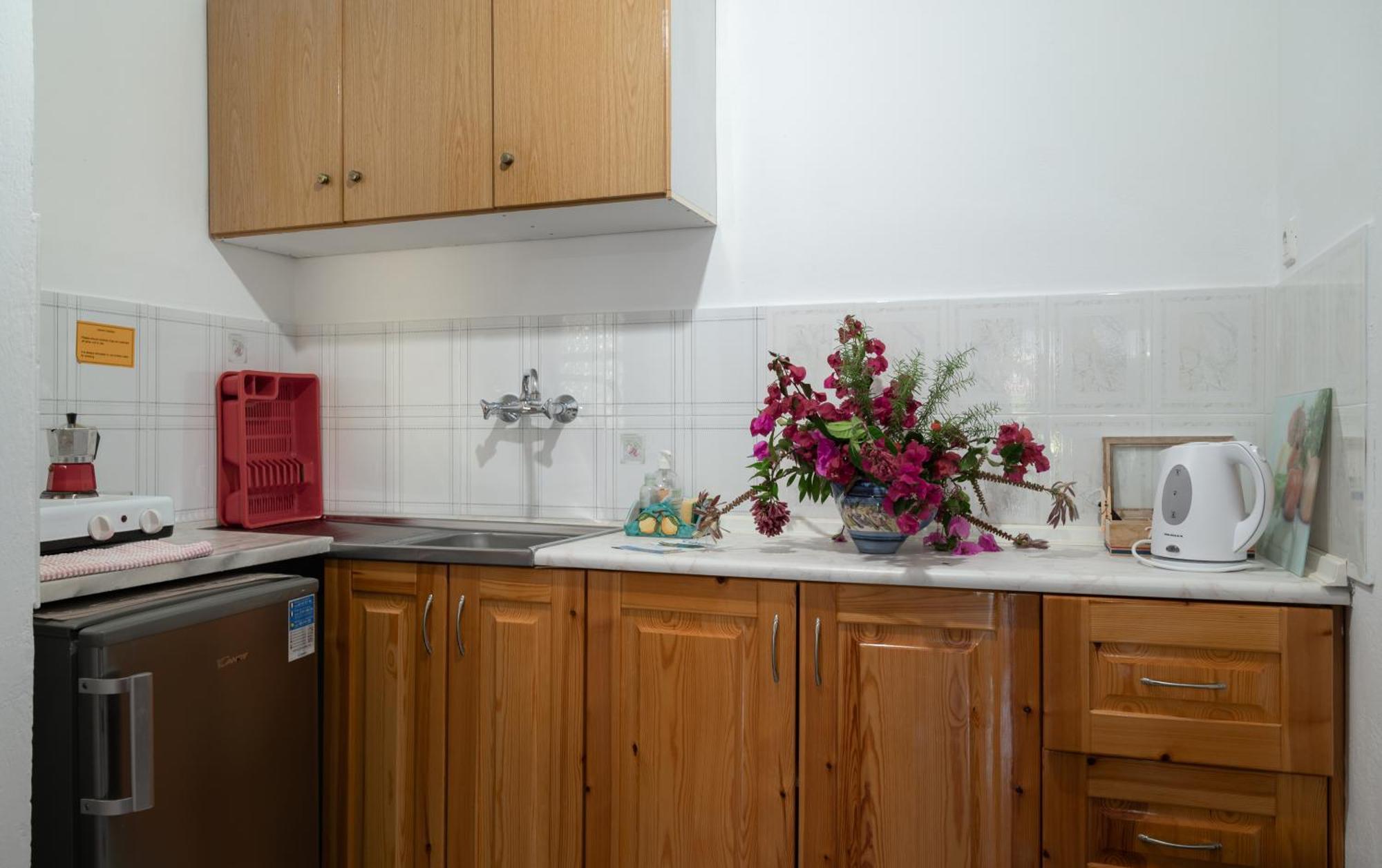 Ulisse Apartments パレオカストリッツア エクステリア 写真